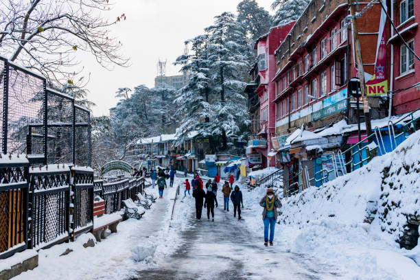 Shimla Manali 6D